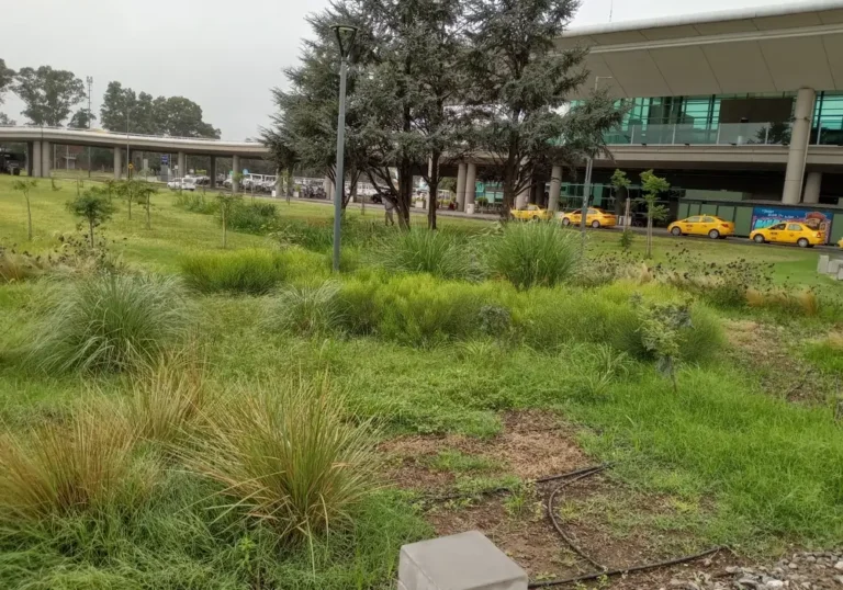 Mantenimiento Integral del Aeropuerto de Córdoba