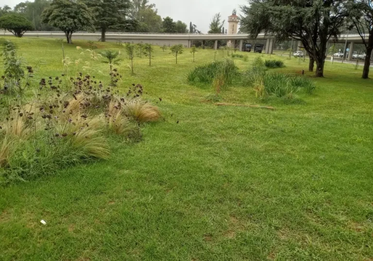 Mantenimiento Integral del Aeropuerto de Córdoba