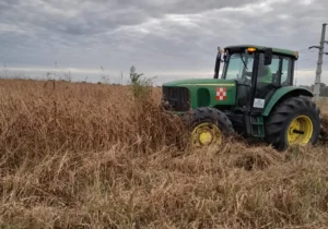 Tractor cortando el pasto