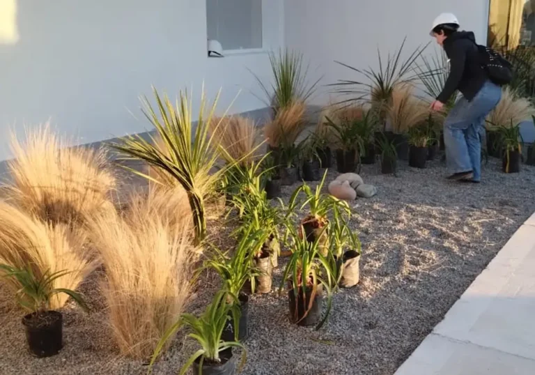 Plantines para el Aeropuerto de Puerto Madryn