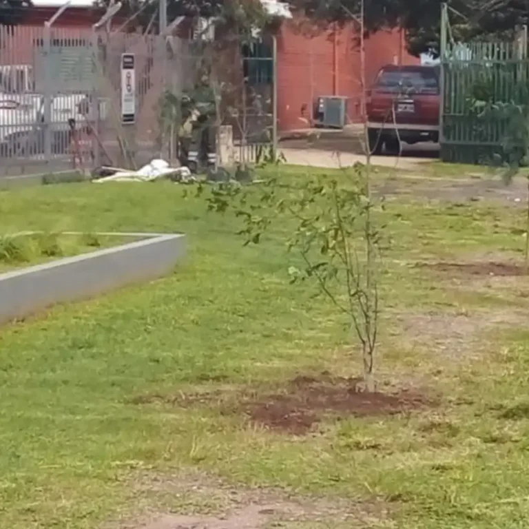 Nuevas especies RCU4