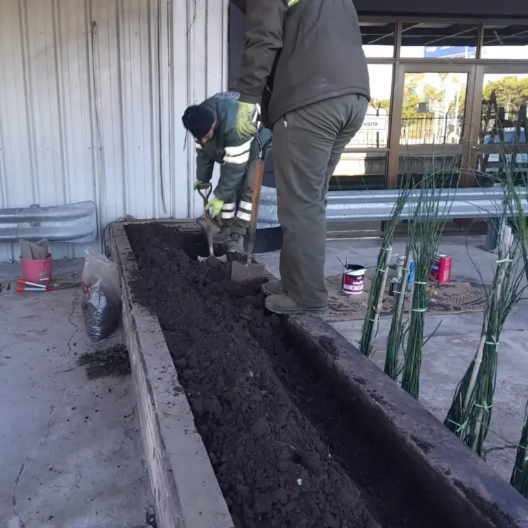 Trabajos de jardinería en Aeroparque Metropolitano Jorge Newbery – Buenos Aires