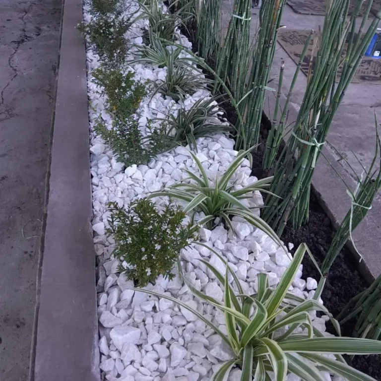 Trabajos de jardinería en Aeroparque Metropolitano Jorge Newbery – Buenos Aires2