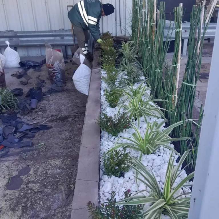 Trabajos de jardinería en Aeroparque Metropolitano Jorge Newbery – Buenos Aires3