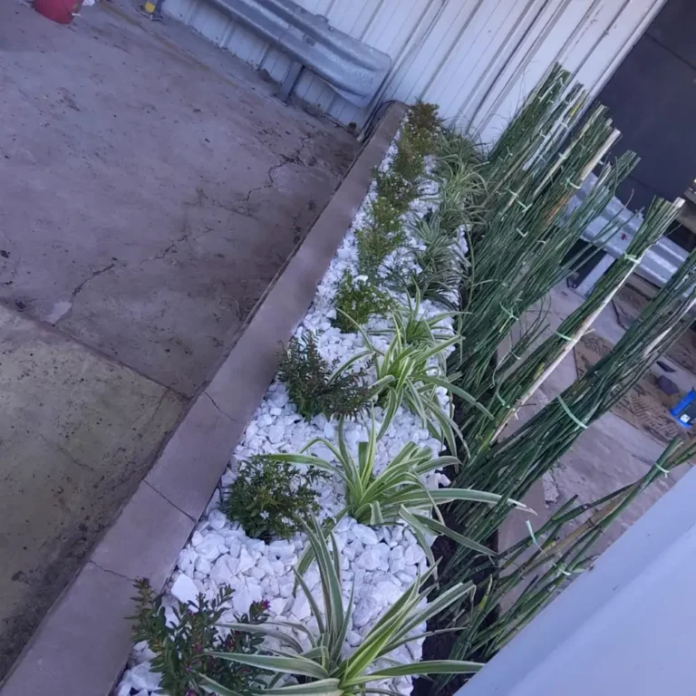 Trabajos de jardinería en Aeroparque Metropolitano Jorge Newbery – Buenos Aires4