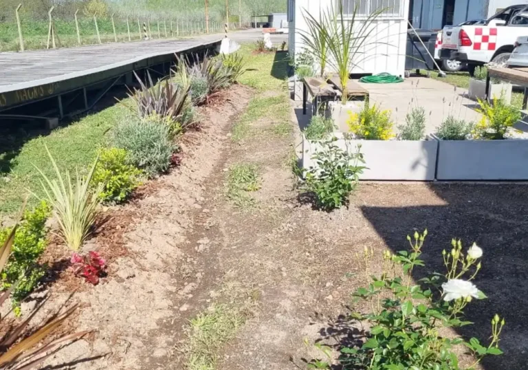 Jardinería en Talleres de Ezeiza