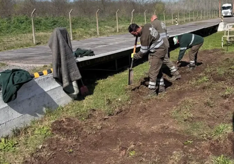 Jardinería en Talleres de Ezeiza10