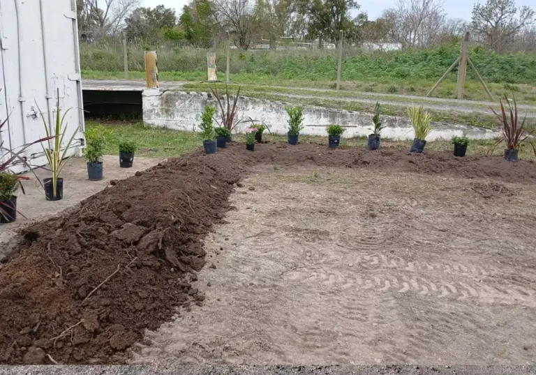 Jardinería en Talleres de Ezeiza11