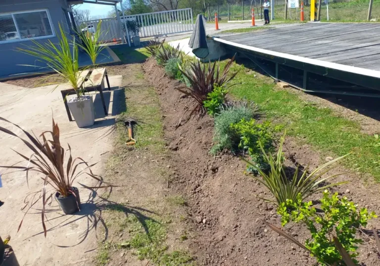 Jardinería en Talleres de Ezeiza12