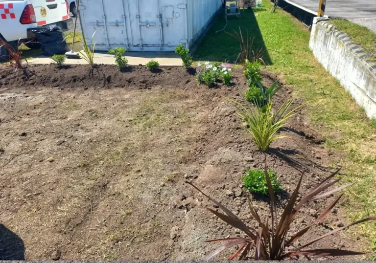 Jardinería en Talleres de Ezeiza13