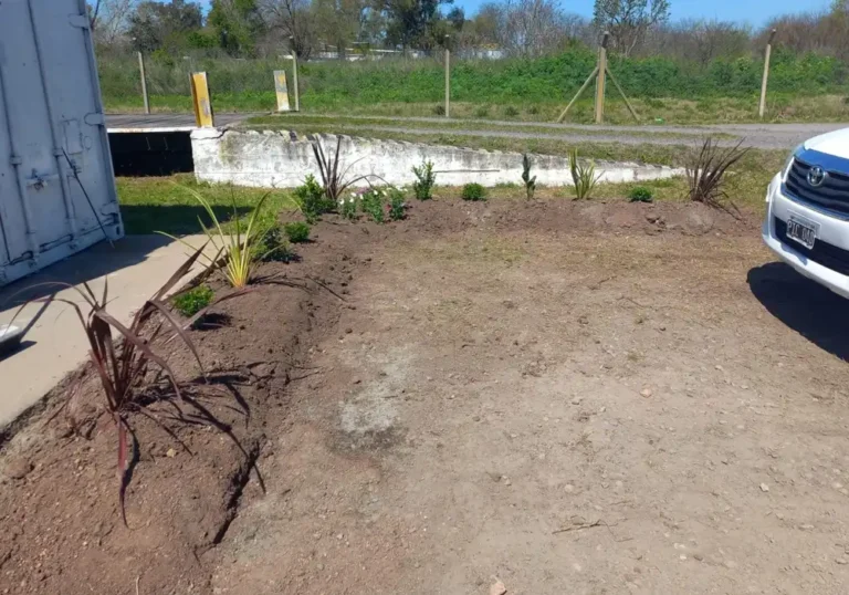 Jardinería en Talleres de Ezeiza14