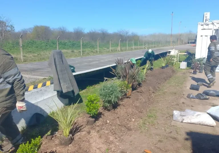 Jardinería en Talleres de Ezeiza15