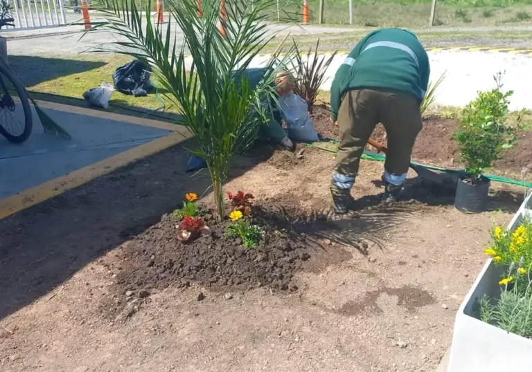 Jardinería en Talleres de Ezeiza18