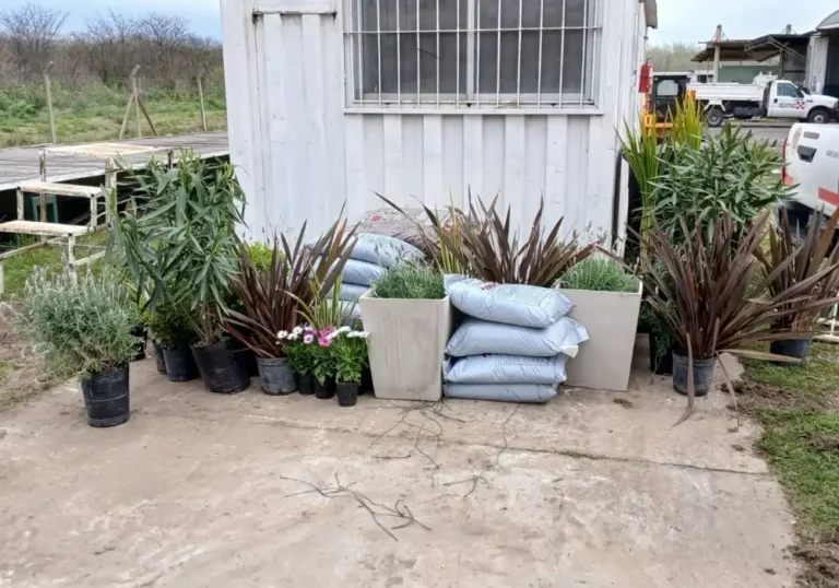 Jardinería en Talleres de Ezeiza2