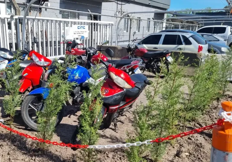 Jardinería en Talleres de Ezeiza22