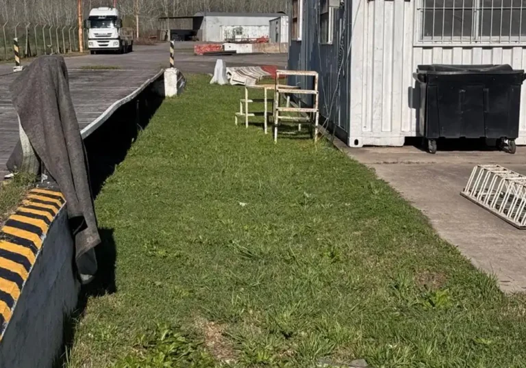 Jardinería en Talleres de Ezeiza3