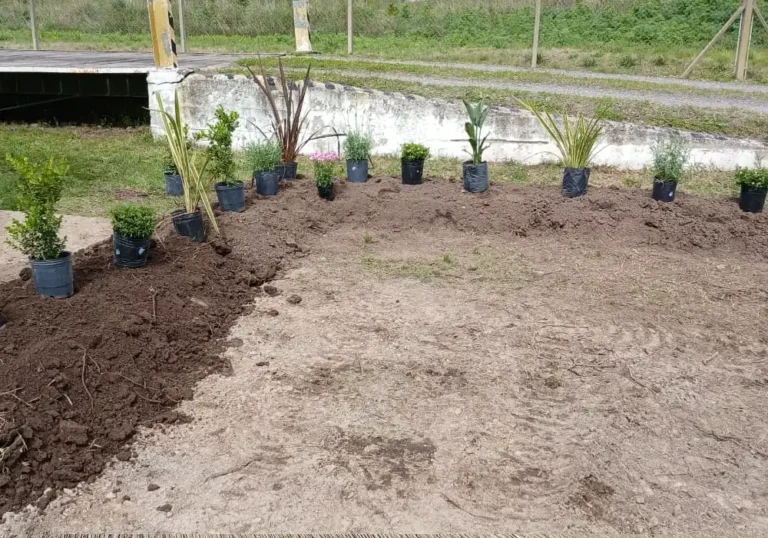 Jardinería en Talleres de Ezeiza4
