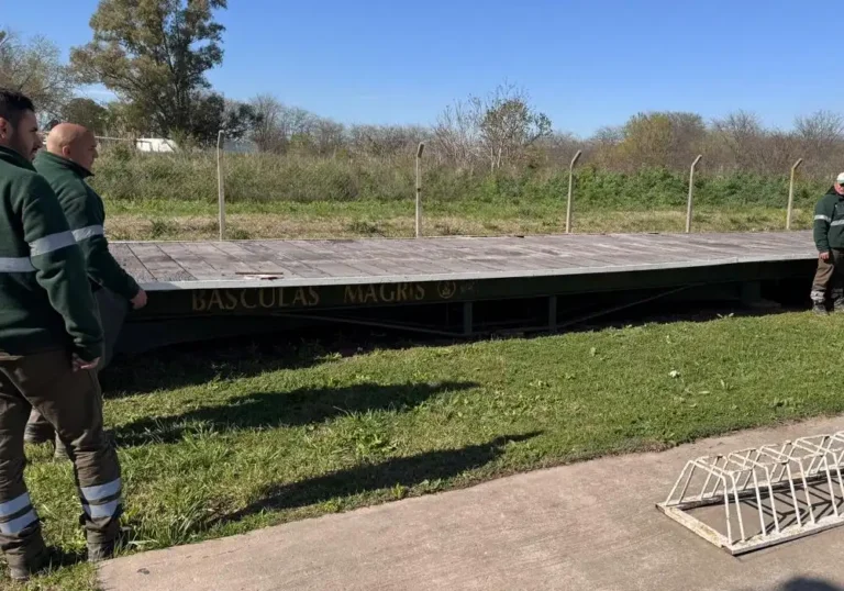 Jardinería en Talleres de Ezeiza5