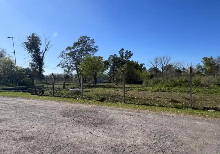 Jardinería en Talleres de Ezeiza6