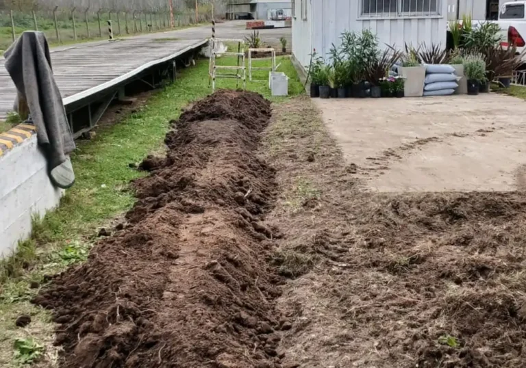 Jardinería en Talleres de Ezeiza9