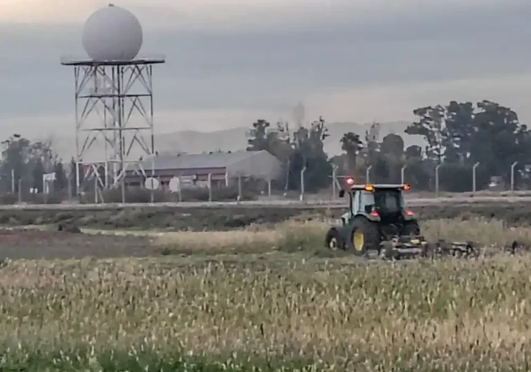 Mantenimiento de espacios verdes y vinedo del Aeropuerto de Mendoza2