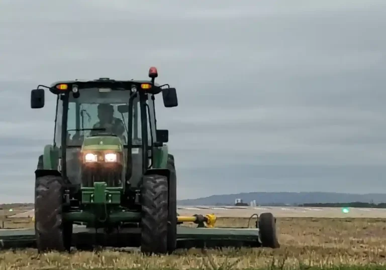 Mantenimiento de espacios verdes y vinedo del Aeropuerto de Mendoza3