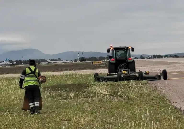 Mantenimiento de espacios verdes y vinedo del Aeropuerto de Mendoza4