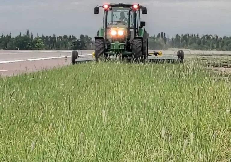 Mantenimiento de espacios verdes y vinedo del Aeropuerto de Mendoza5