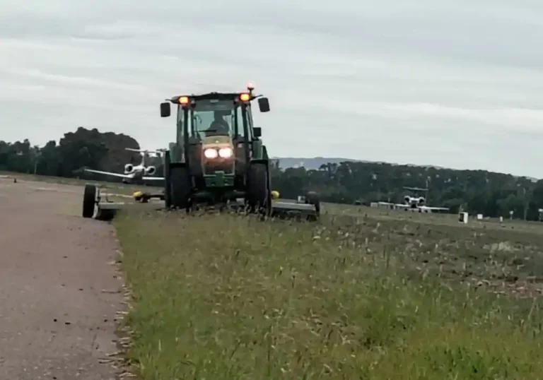 Mantenimiento de espacios verdes y vinedo del Aeropuerto de Mendoza6